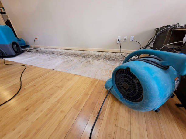 Professional Ceiling Water Damage Repair technician working in Silverthorne, CO